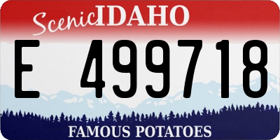 ID license plate E499718