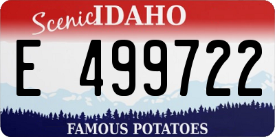 ID license plate E499722