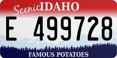 ID license plate E499728