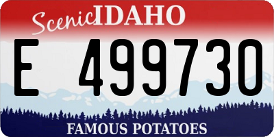 ID license plate E499730