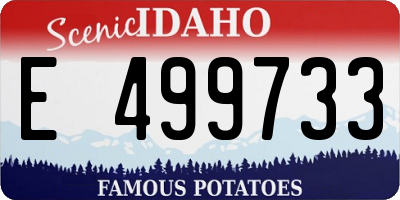 ID license plate E499733