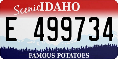 ID license plate E499734