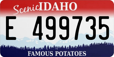 ID license plate E499735