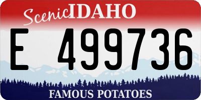 ID license plate E499736