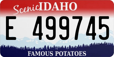 ID license plate E499745