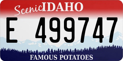 ID license plate E499747