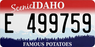 ID license plate E499759