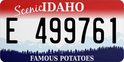 ID license plate E499761