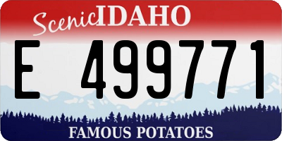 ID license plate E499771
