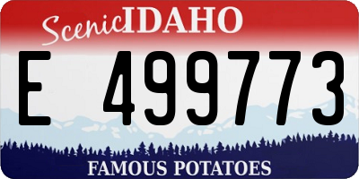 ID license plate E499773