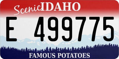 ID license plate E499775