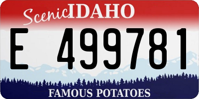 ID license plate E499781