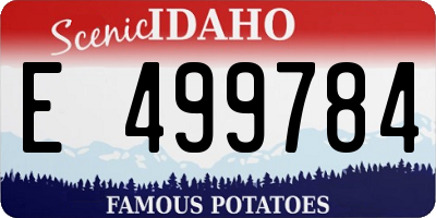 ID license plate E499784