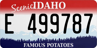 ID license plate E499787