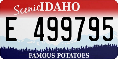 ID license plate E499795