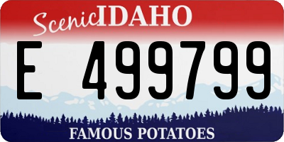 ID license plate E499799
