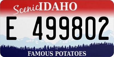 ID license plate E499802