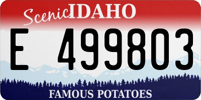 ID license plate E499803