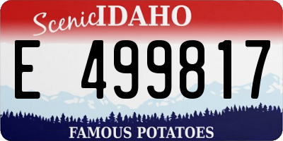 ID license plate E499817