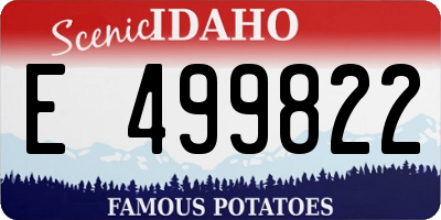 ID license plate E499822