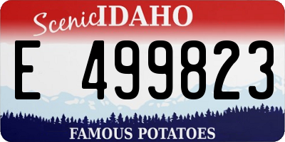 ID license plate E499823