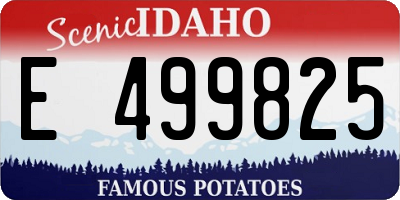 ID license plate E499825