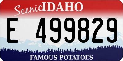ID license plate E499829