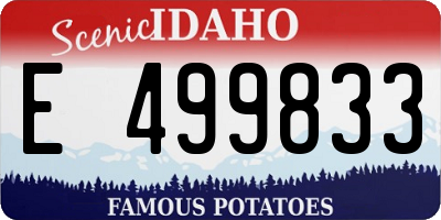 ID license plate E499833