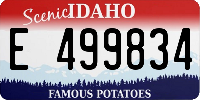 ID license plate E499834