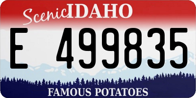 ID license plate E499835