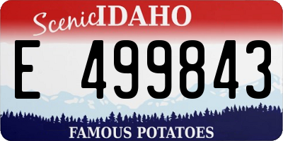 ID license plate E499843
