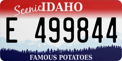 ID license plate E499844