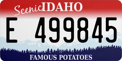 ID license plate E499845