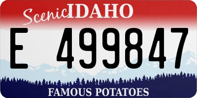 ID license plate E499847
