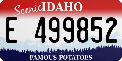 ID license plate E499852