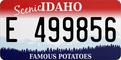 ID license plate E499856