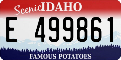 ID license plate E499861