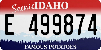 ID license plate E499874