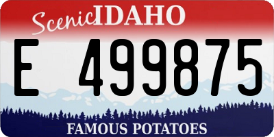 ID license plate E499875