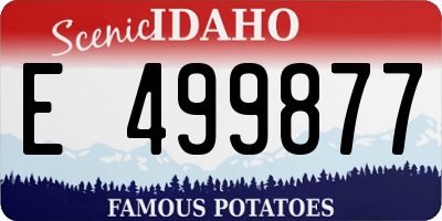 ID license plate E499877