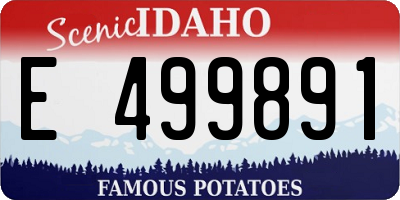 ID license plate E499891
