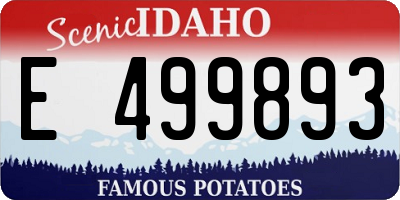 ID license plate E499893
