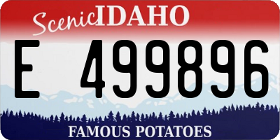 ID license plate E499896