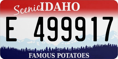 ID license plate E499917