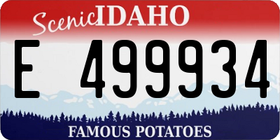 ID license plate E499934