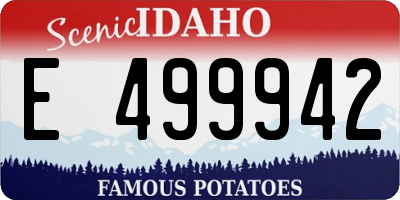 ID license plate E499942