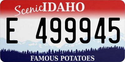 ID license plate E499945