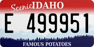 ID license plate E499951