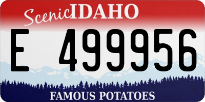 ID license plate E499956