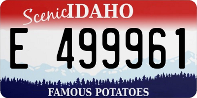 ID license plate E499961